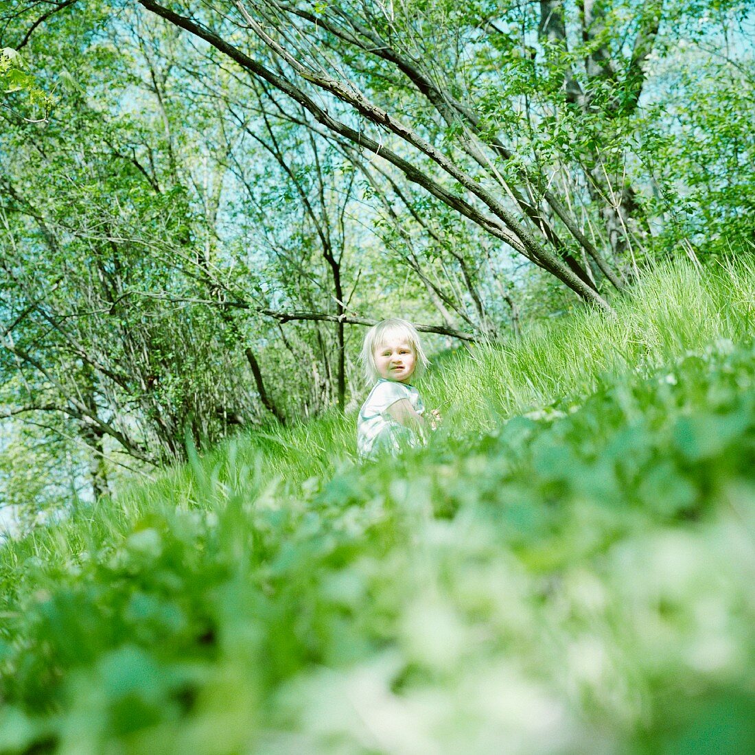 Kleines, blondes Mädchen, im Gras hockend; gekippter Horizont mit Bäumen