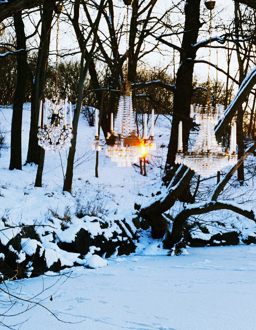 Romantische Beleuchtung in Winterlandschaft - Kronleuchter mit Kerzen hängen am Baum
