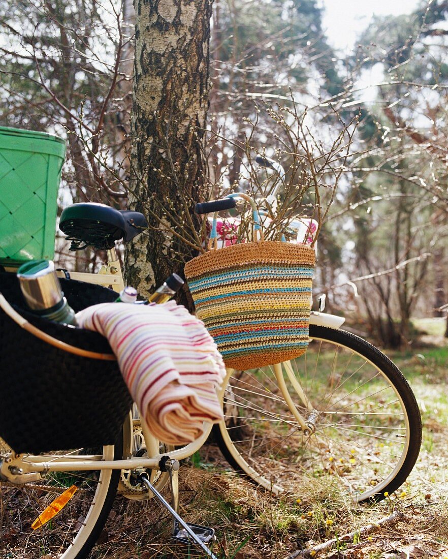 Taschen mit Picknick-Utensilien auf Fahrrad am Baum lehnend