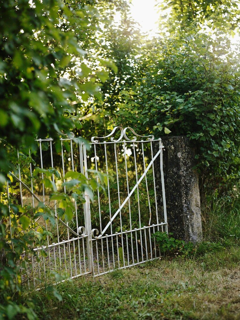 Weisses Vintage Metall Tor vor verwildertem Garten