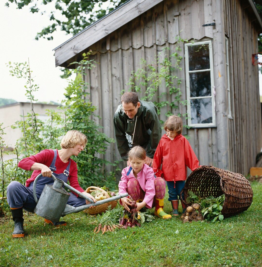 Family in garden with vegetable harvest in front of garden shed