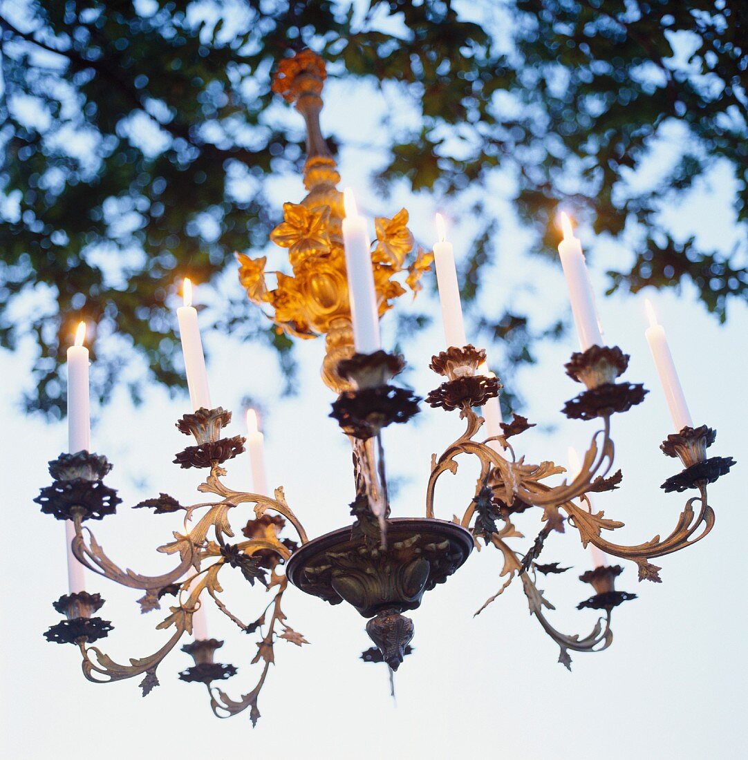 A chandelier in a tree