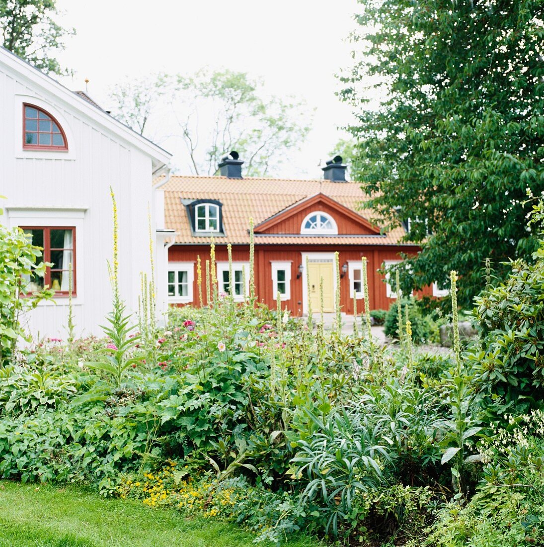Blick über blühendes Staudenbeet im Garten auf ein traditionelles, schwedisches Wohnhaus mit roter Holzverschalung