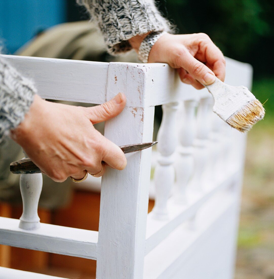 Woman's hands holding paintbrush and scraper renovating white, traditional wooden bench