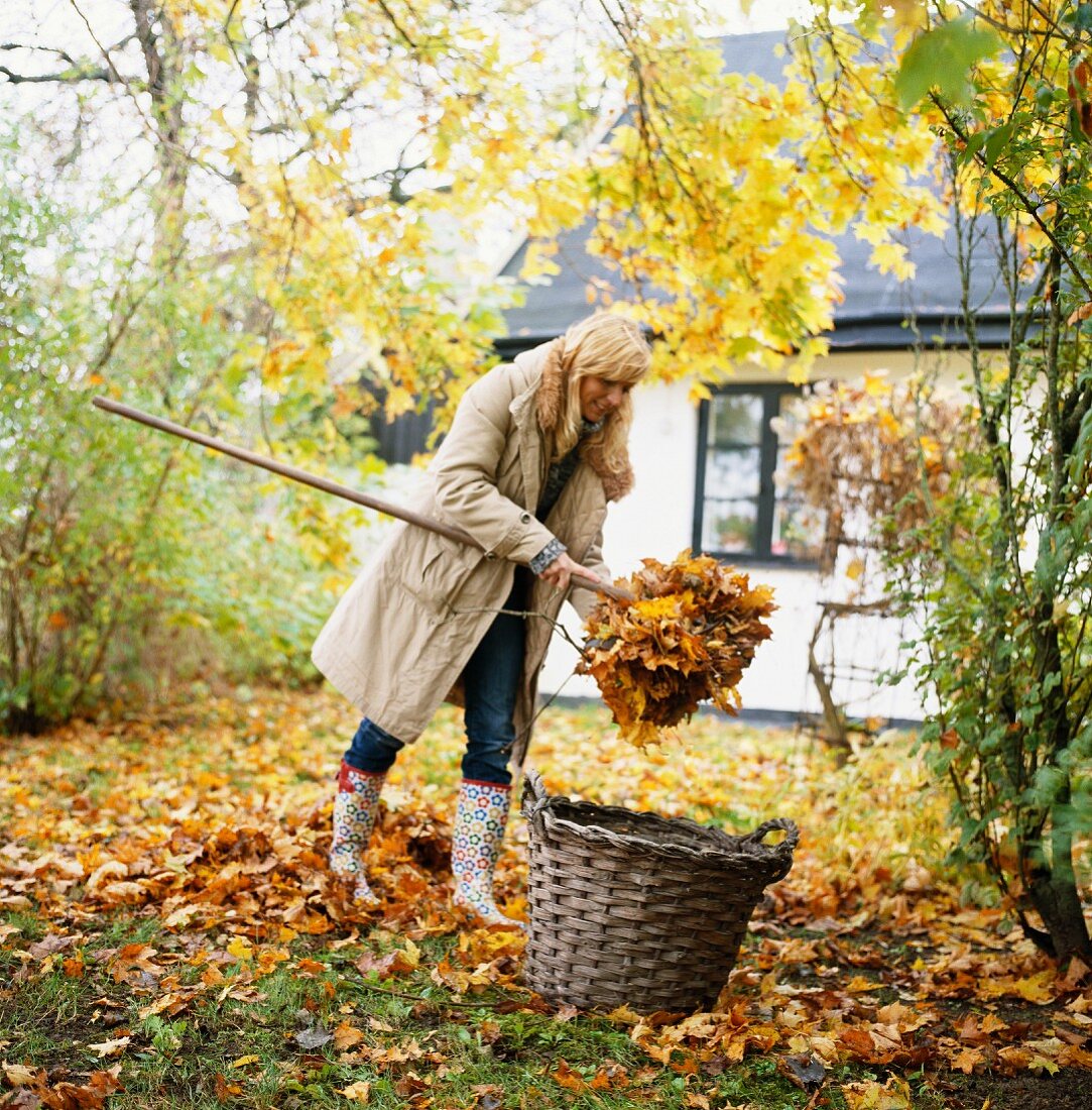 Junge Frau beim Laubsammeln in herbstlichem Garten