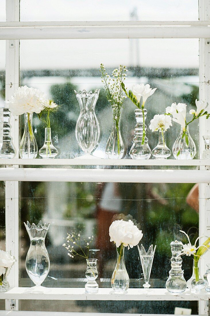 Vases with flowers against window