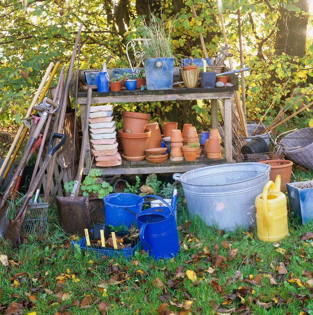 Gardening utensils & tools in autumnal garden