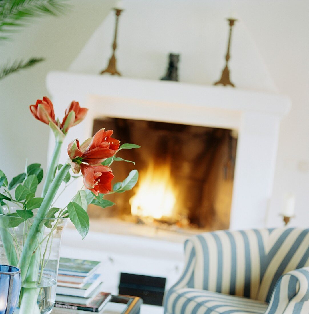 Amaryllis in glass vase on table and striped armchair in front of open fire