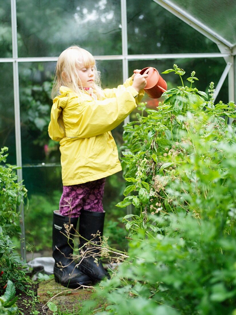 Girl watering plants in greenhouse