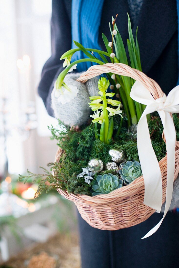 Person holding basket planted for Christmas