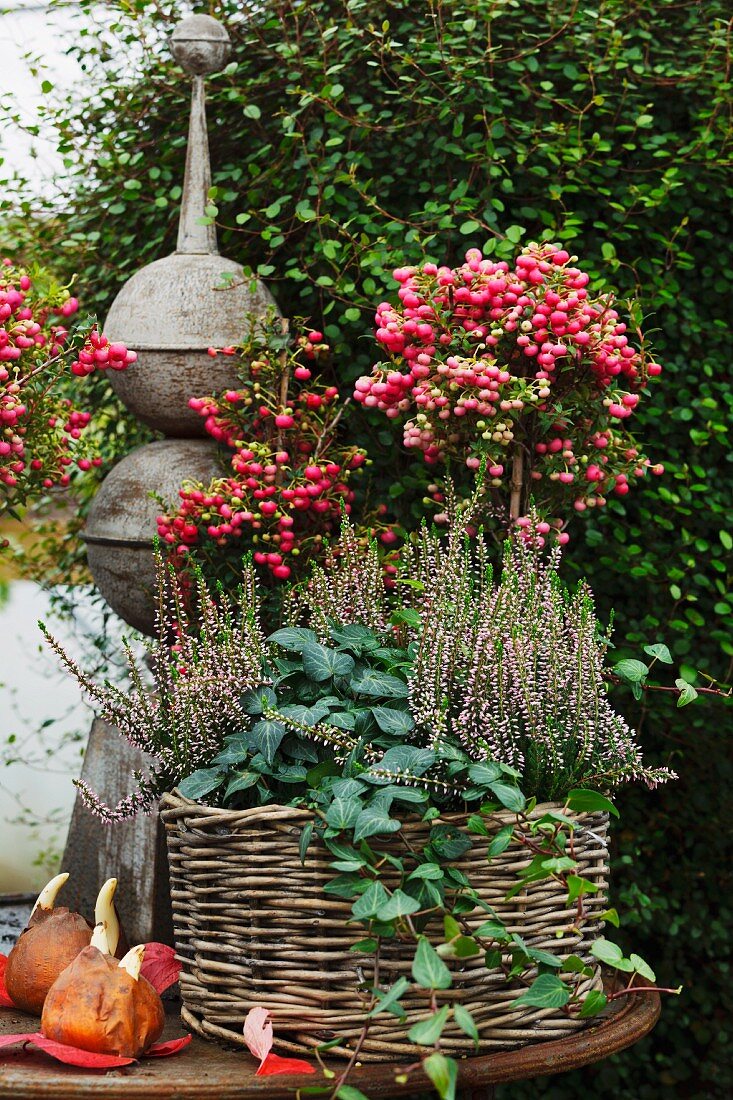 Korb mit Herbstbepflanzung & Dekoobjekt auf Gartentisch