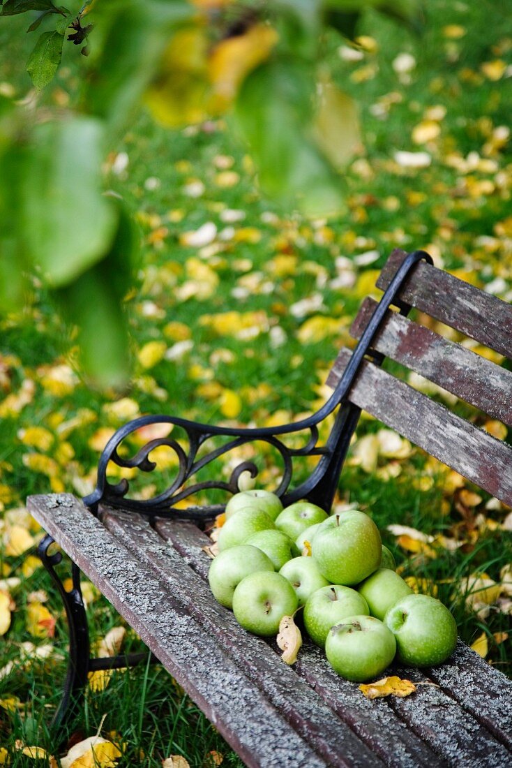 Grüne Äpfel auf verwitterter Gartenbank