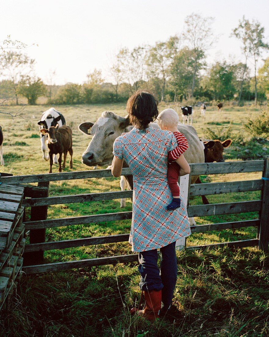 Mutter mit Kleinkind auf dem Arm am Holzaun einer Kuhweide