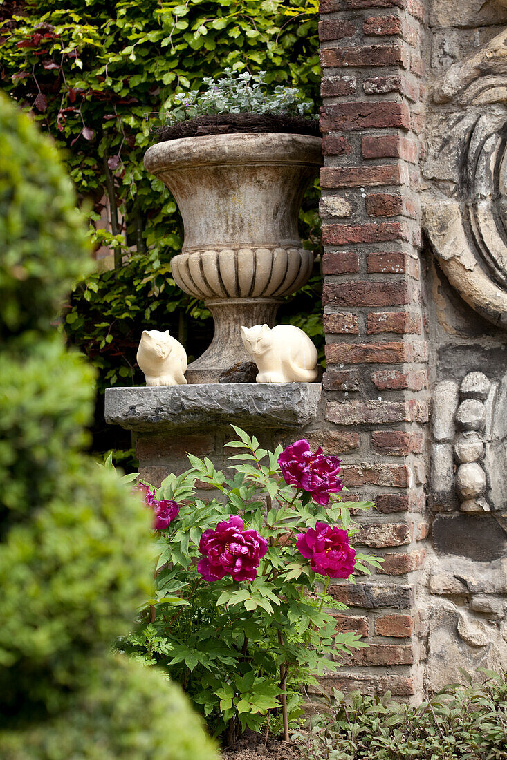 Romantic arrangement of planted urn, cat figurines and flowering peony in garden