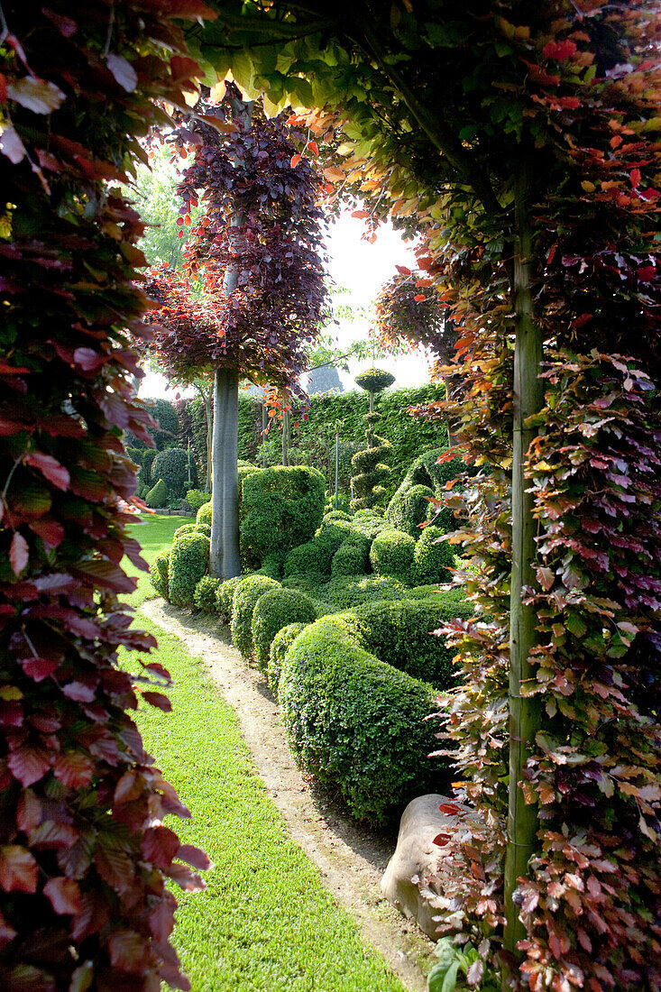 Archway in hedge leading into well-tended garden with artistic box topiary