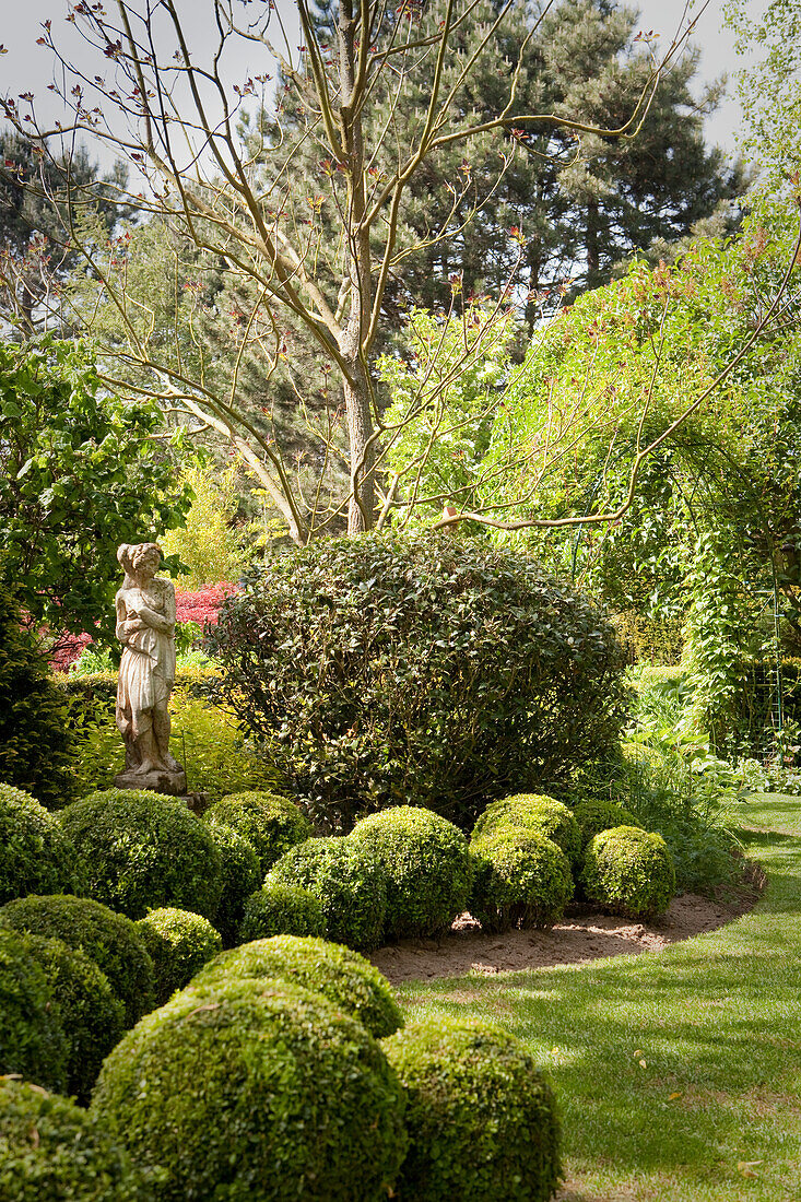 Kugelförmige Buchsbäume vor Steinskulptur in angelegten Garten