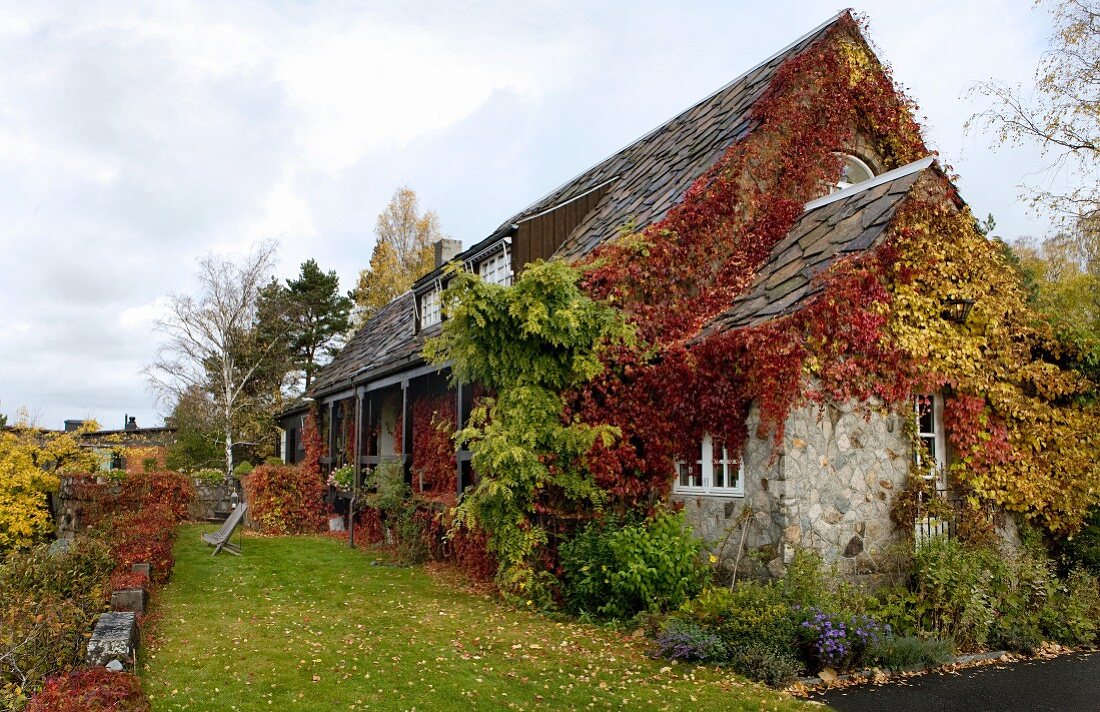 Mit rotem und gelbem Herbstlaub beranktes, idyllisches Landhaus in Norwegen