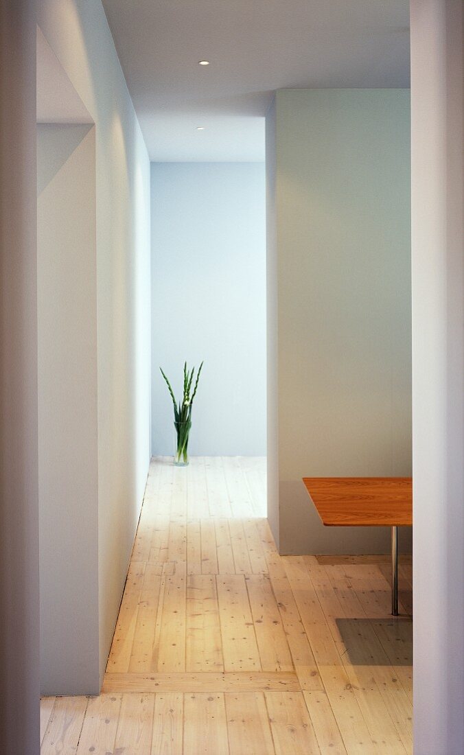 Corridor in home interior
