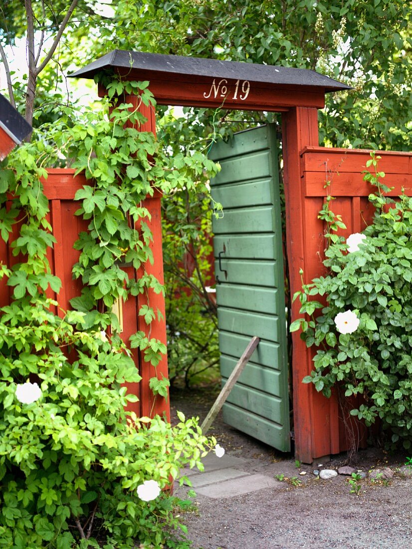 Grünes Gartentor mit rotem Portikus in dicht beranktem Holzzaun