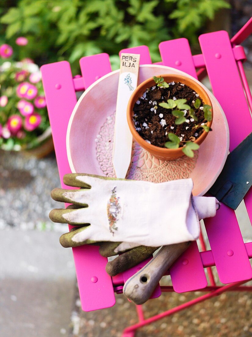 Tontopf mit Sämlingen auf pinkfarbenem Gartenstuhl