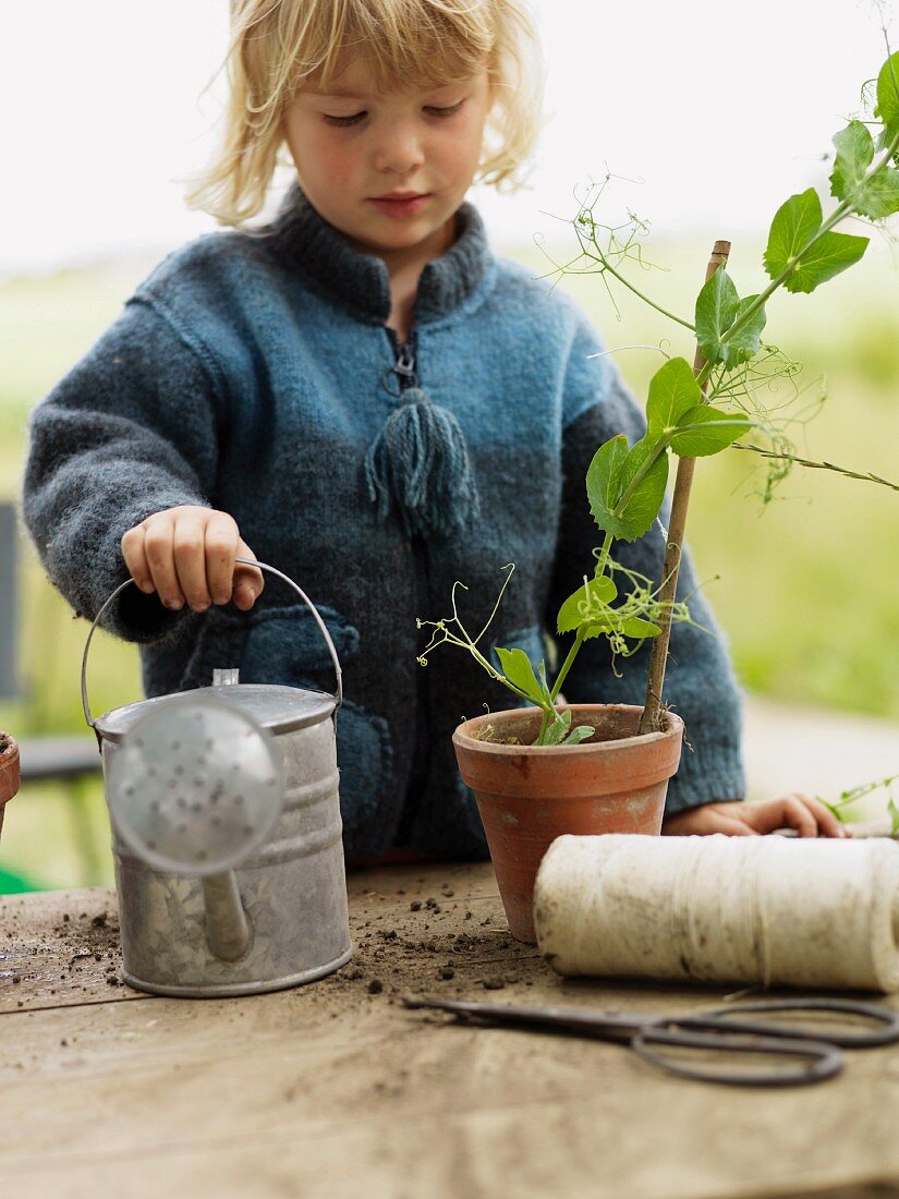 Little girl with watering can & potted plan on potting table in garden