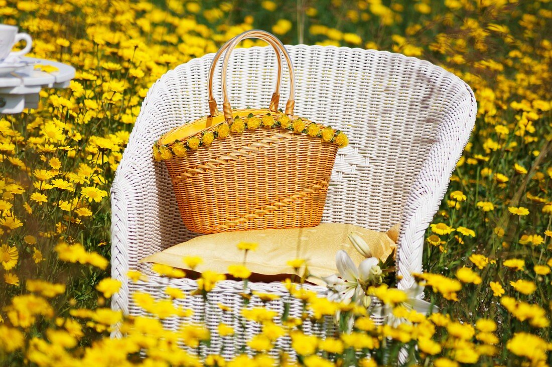 Weisser Korbstuhl inmitten einer gelben Blumenwiese