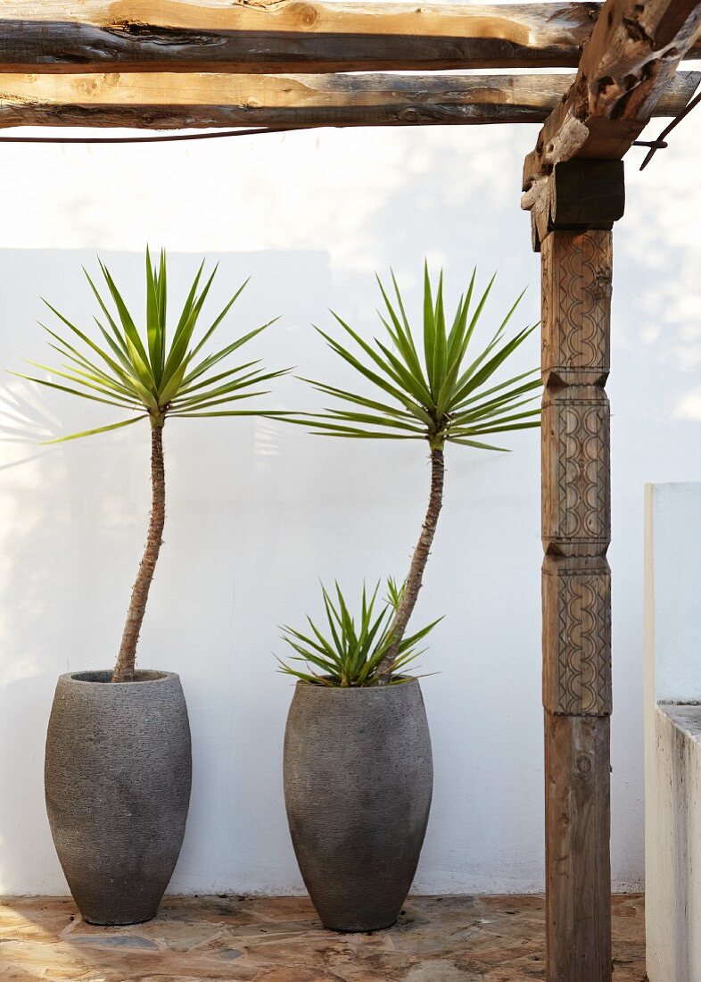 Palmen in Steintöpfen vor weisser Wand; Pergola mit kunstvoll geschnitzter Holzstütze