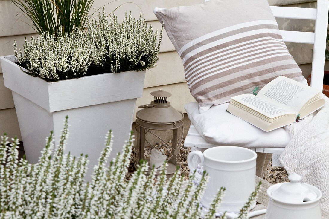 Potted white heather and wooden chair on terrace