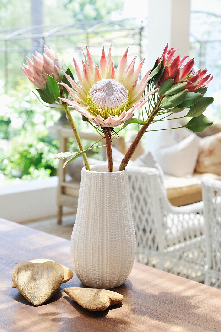 Tropical plants in white china vase with fluted surface and heart-shaped stones on wooden table