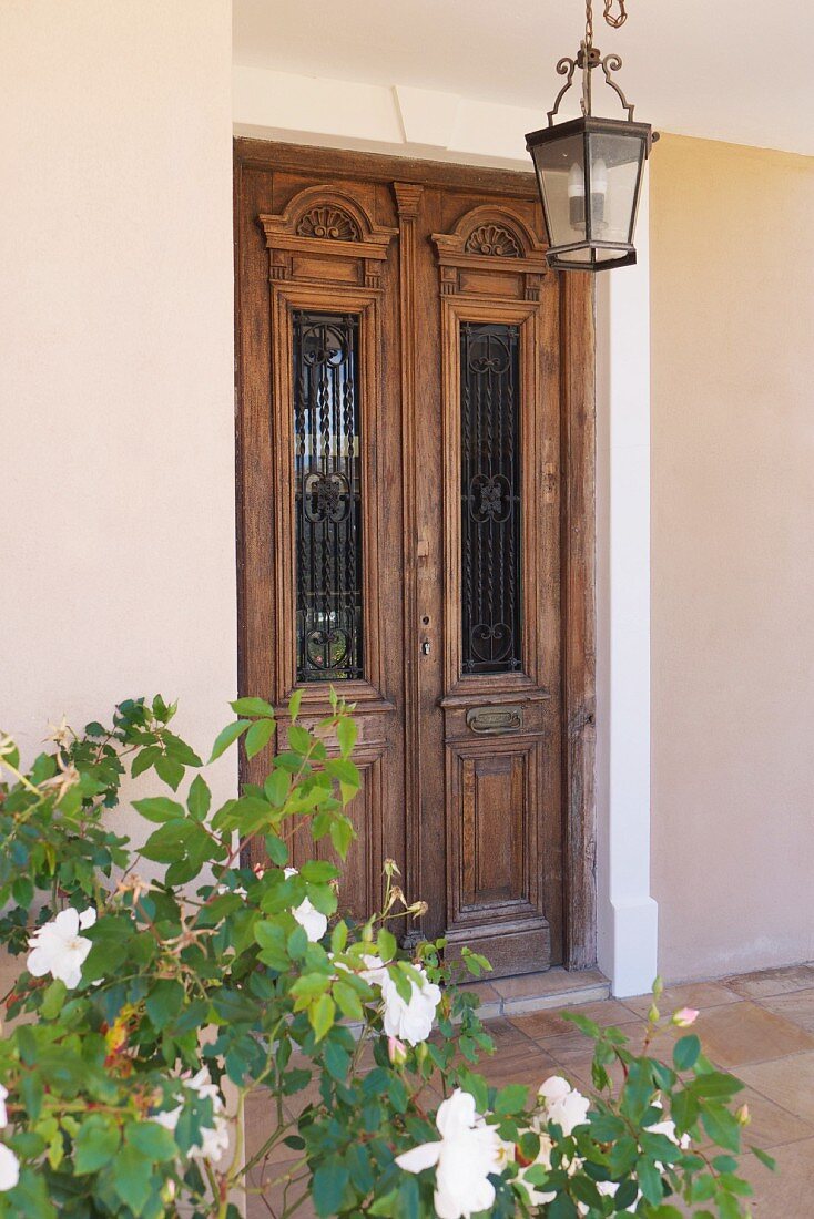 Rosenbusch am Hauseingang und Laterne vor antiker indischer Haustür mit Glasfüllung und Gitter