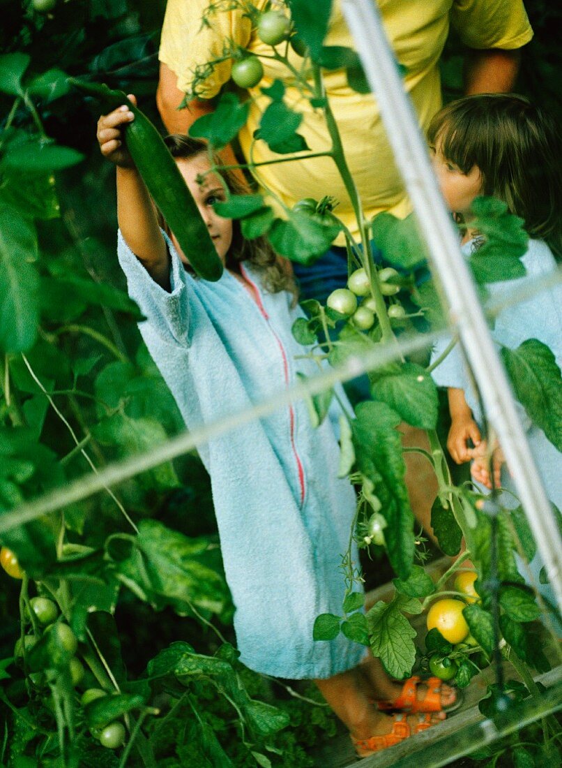 Children and one grownup in a glasshouse, Sweden.