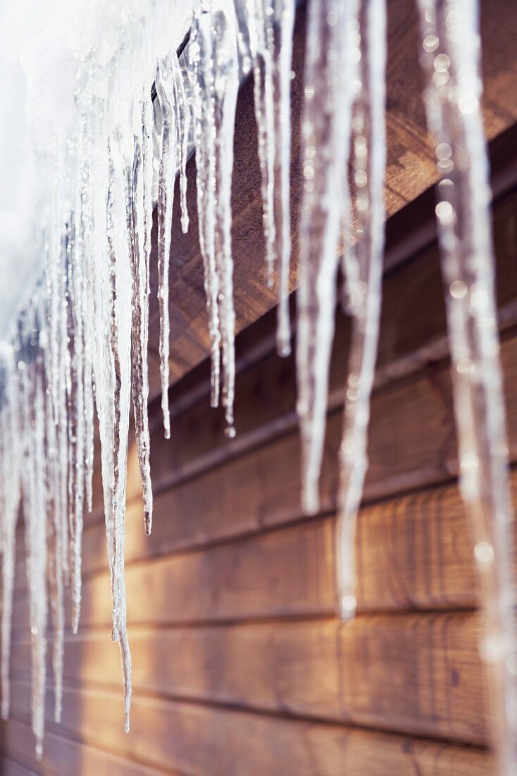 Icicle on wooden roof