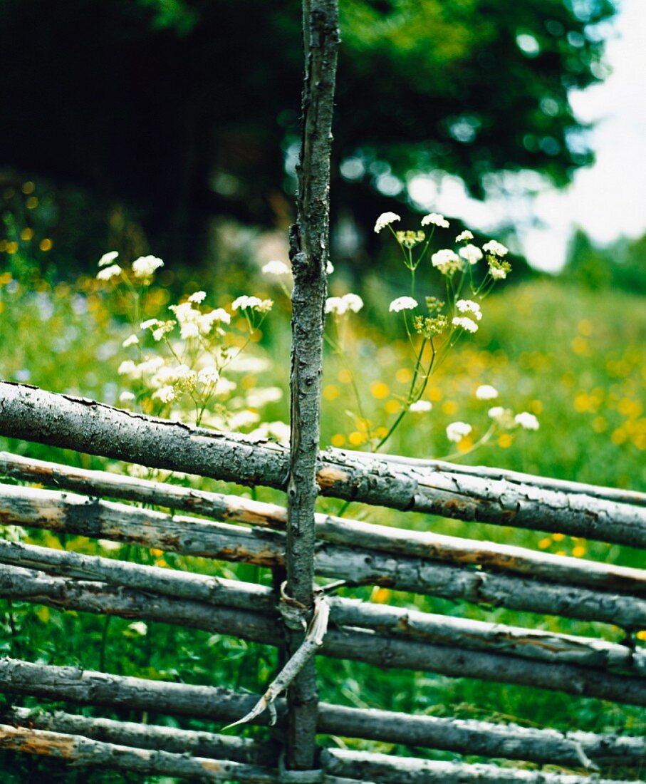 A wooden fence in front of a meadow.