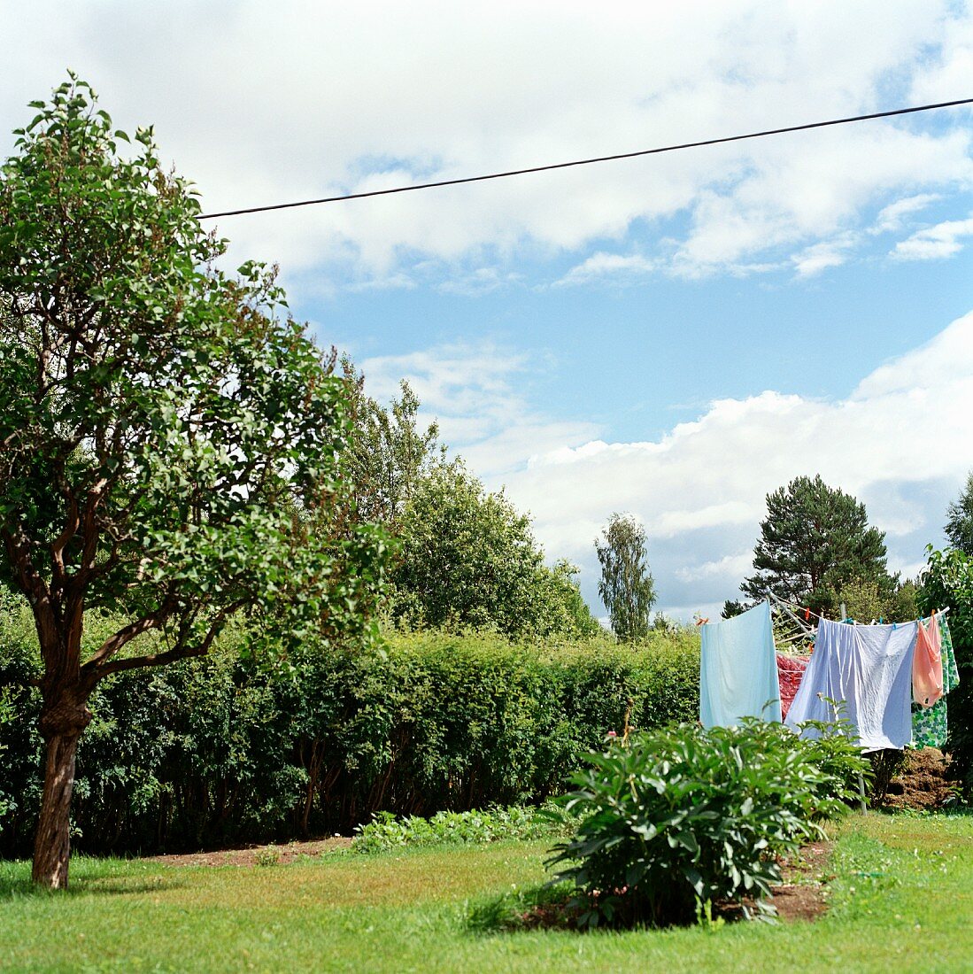 Washing on rotary clothes dryer in garden