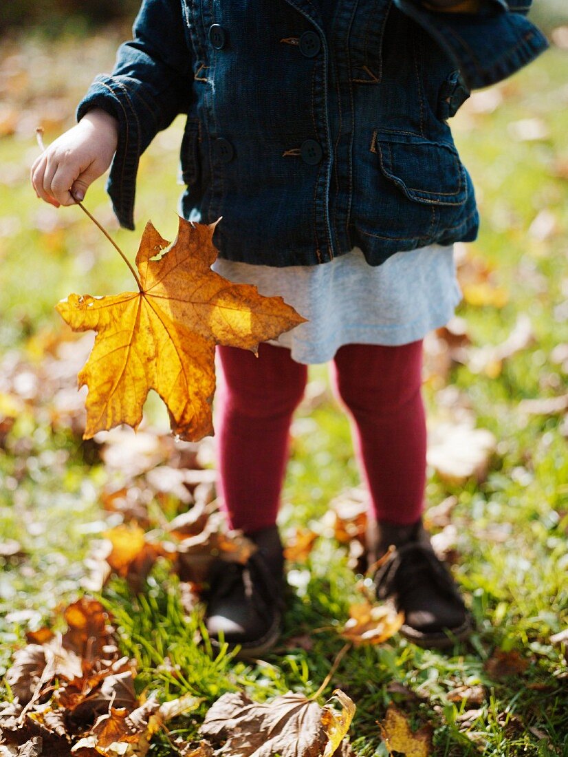 Little girl holding autumn leaf
