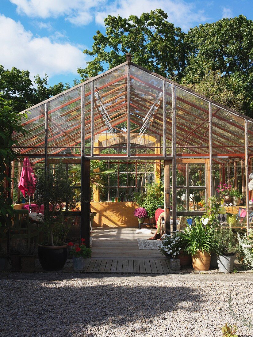 Glazed greenhouse in garden