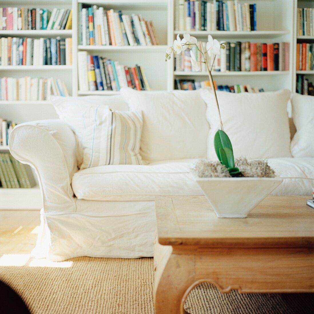 White sofa & wooden coffee table in front of bookshelves on wall