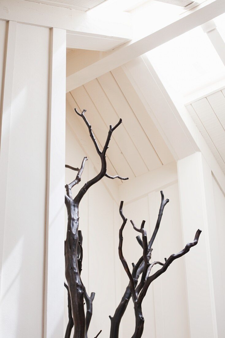 Decorative Branches under a Skylight