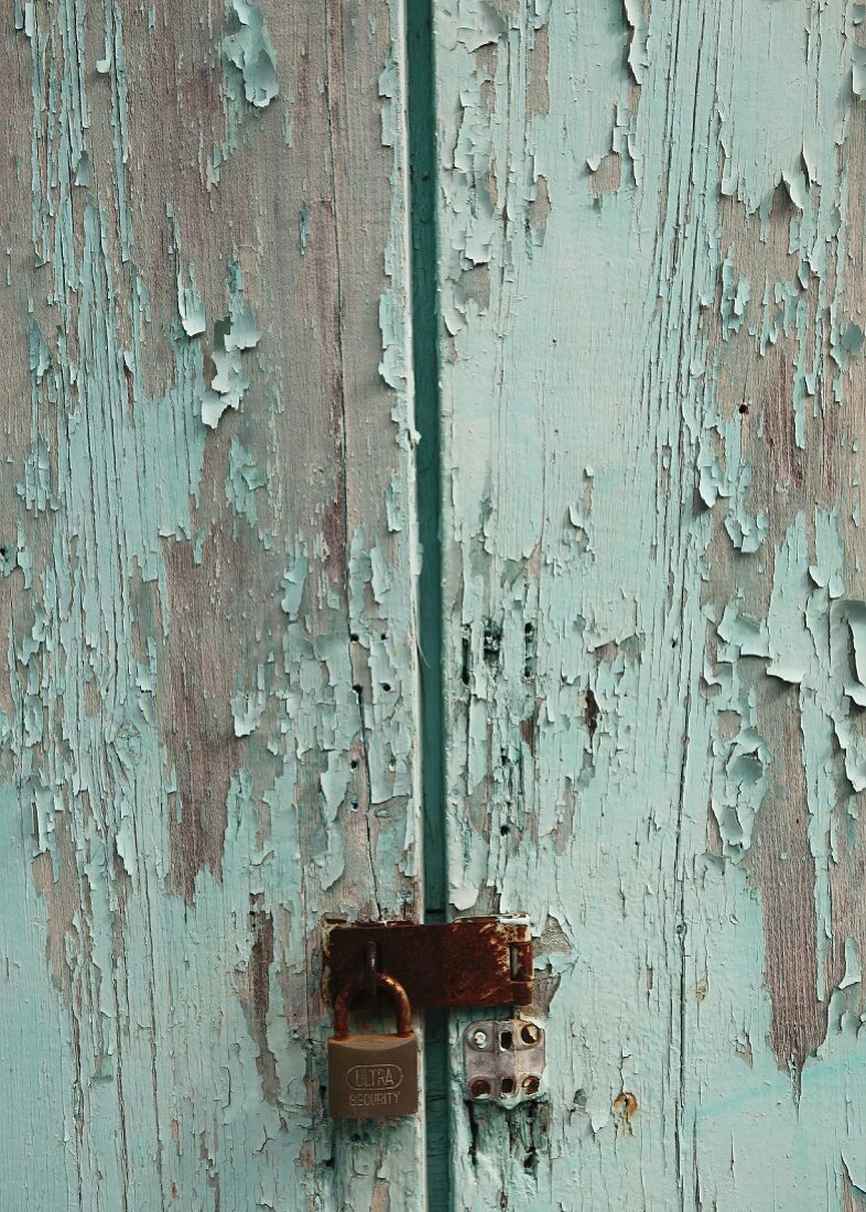 Weathered wooden door with peeling blue paint and padlock (detail)