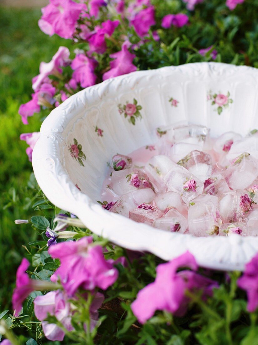 Rosewater ice cubes in floral bowl