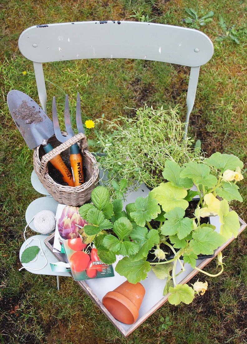 Tablett mit Gartenwerkzeug, Samentüten und Pflanzen auf Gartenstuhl