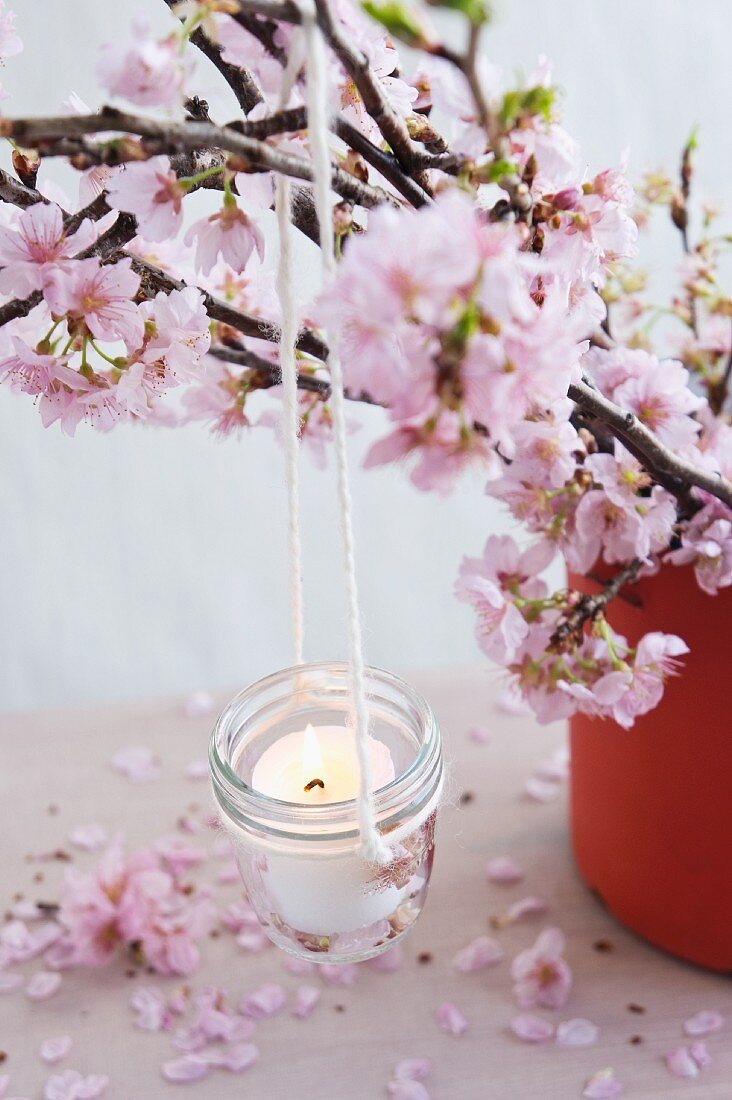 Candle lantern hanging from blossoming cherry branch
