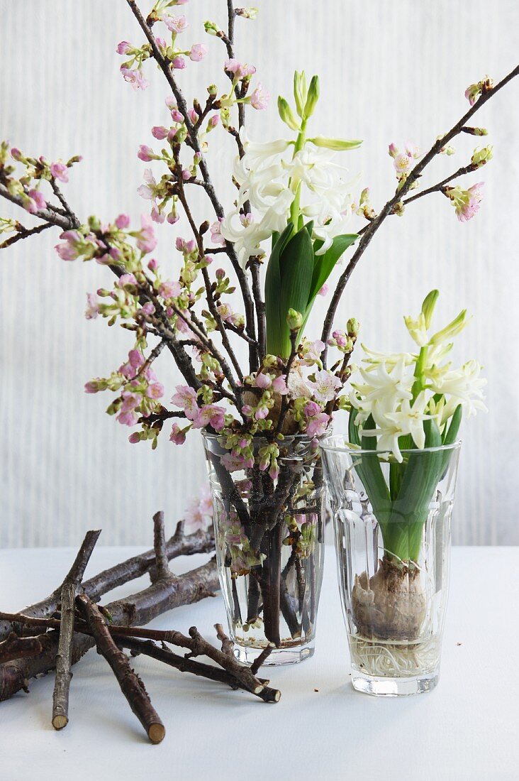 Spring arrangement of blossoming cherry twigs & hyacinths