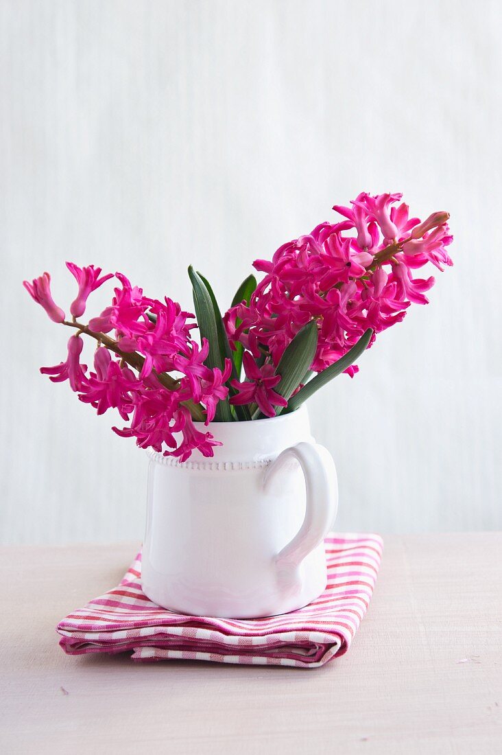 Deep pink hyacinths in china jug