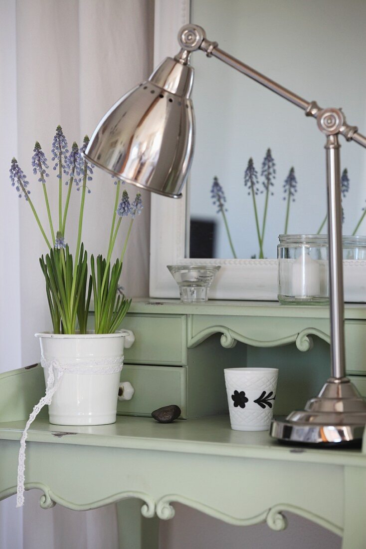 Retro-look metal lamp and pot of grape hyacinths on shabby chic, pastel green desk