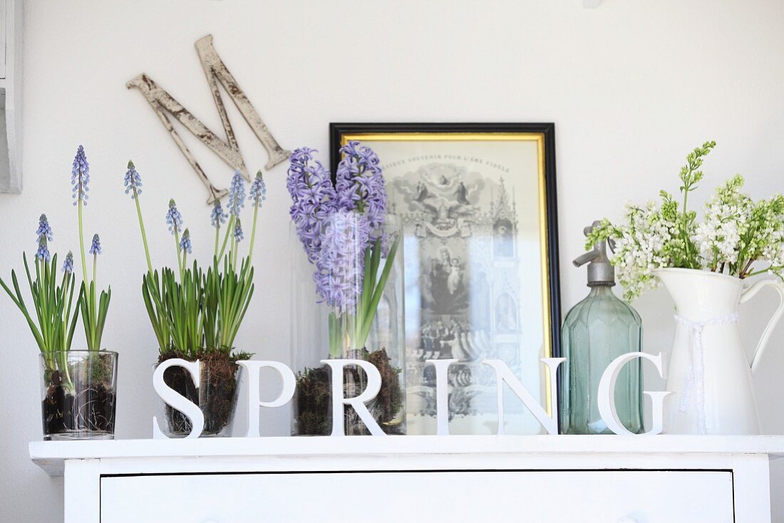 Frühlingsblumen in Glasgefässen und in Emaillekanne, alter Soda Flasche hinter Buchstabenreihe -SPRING- als Shabby Deko auf weißem Unterschrank