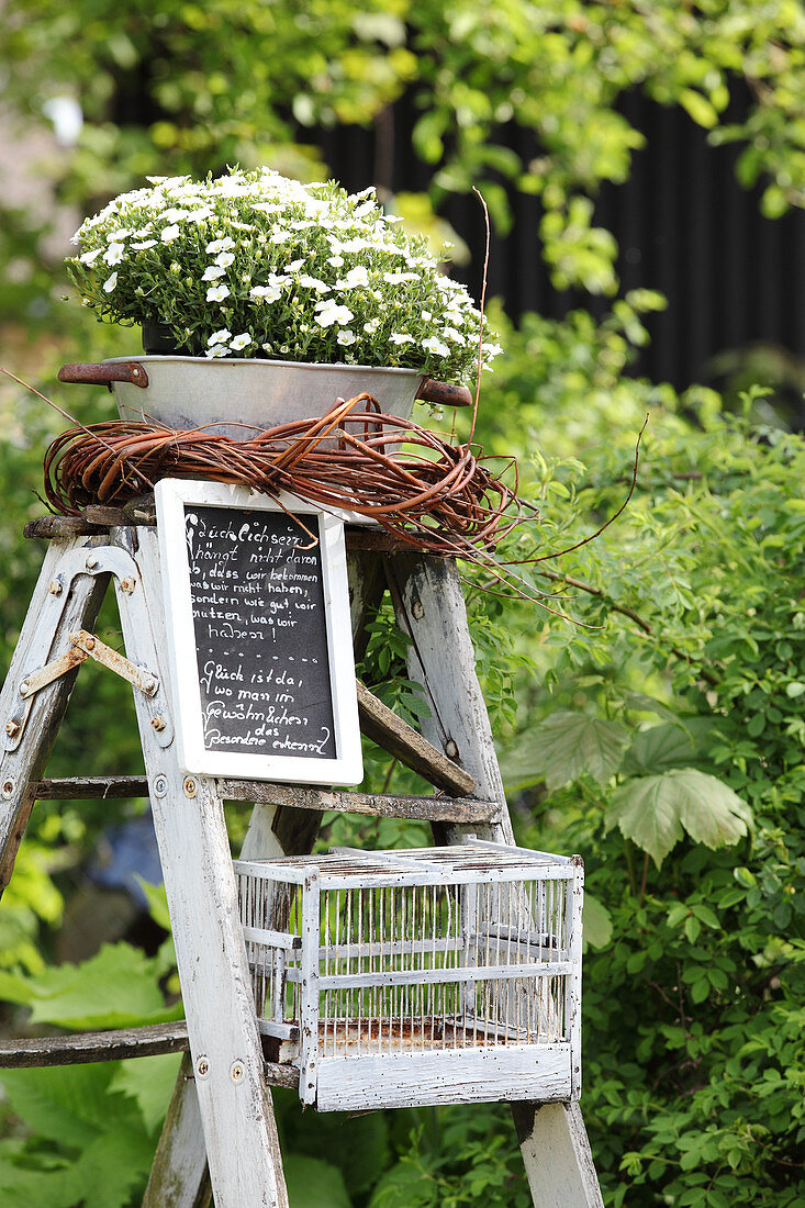 Alte Klappleiter im Garten mit Tafel, Blumen und Vogelkäfig dekoriert