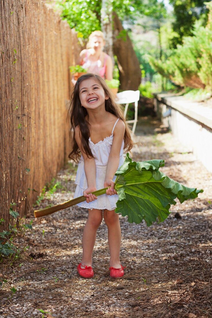 Little girl in garden holding large rhubarb leaf