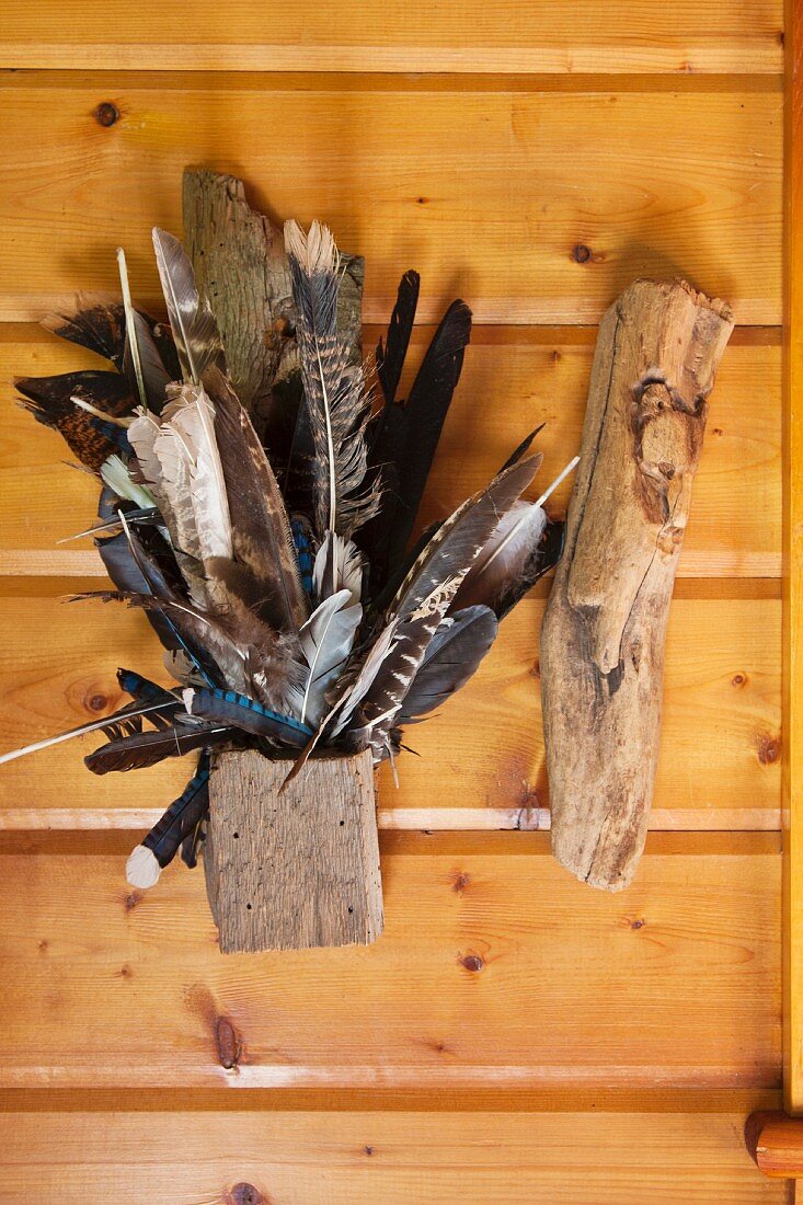 Gesammelte Vogelfedern im Holzgefäss und Aststück an Holzwand befestigt