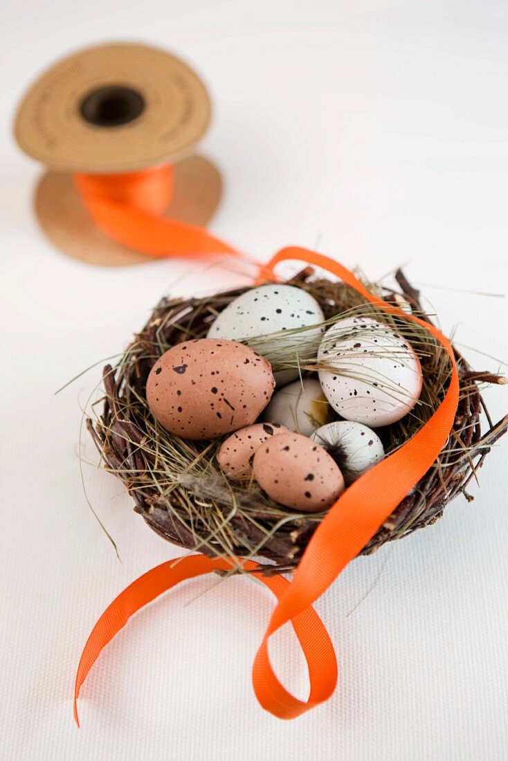 Speckled eggs in wicker Easter nest and orange ribbon